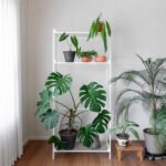 H6701 3단 삼나무 코너책장 1color - 이미지 3